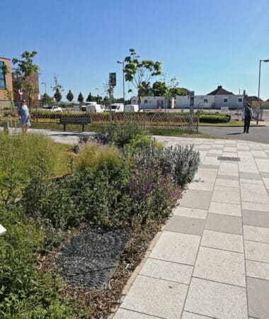 The drought-tolerant bed in place, in time for summer