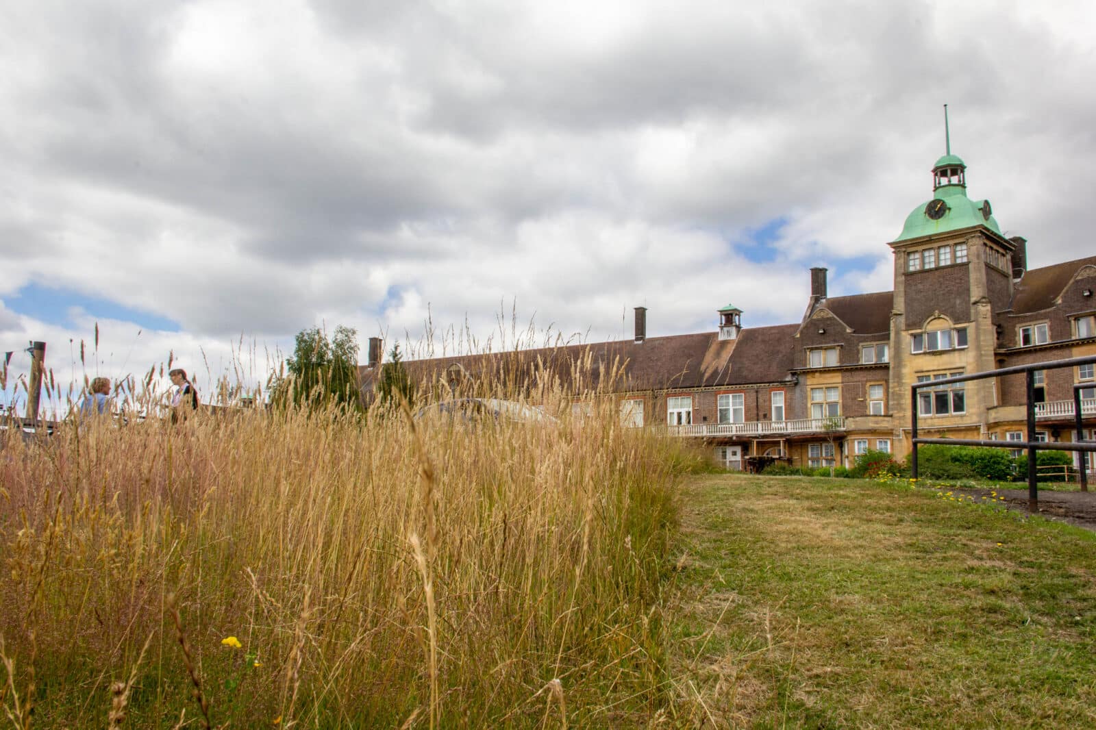 Meadow at Mount Vernon Cancer Centre