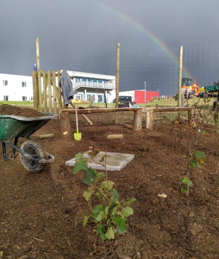 Tiny Forest planting day at West Berkshire Community Hospital