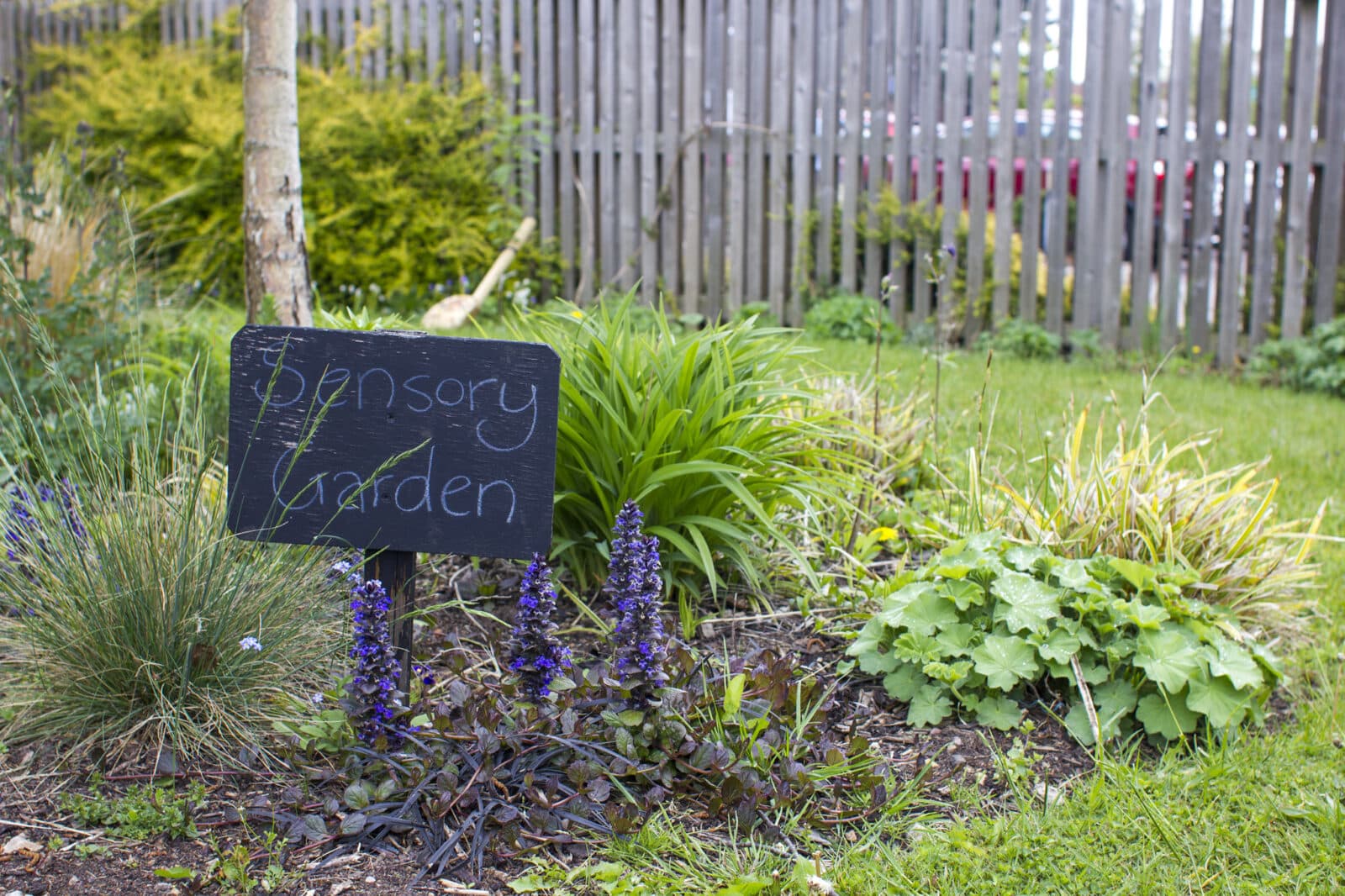 Highbury Community Garden, Nottingham