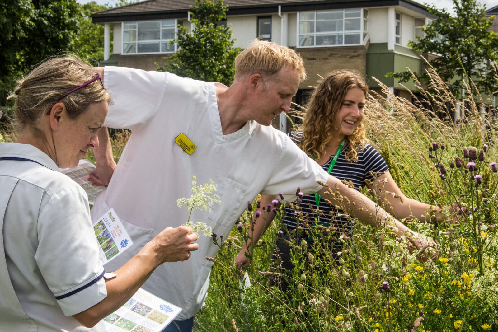 Nature Recovery Ranger and staff in Southmead Hospital's wildflower meadow