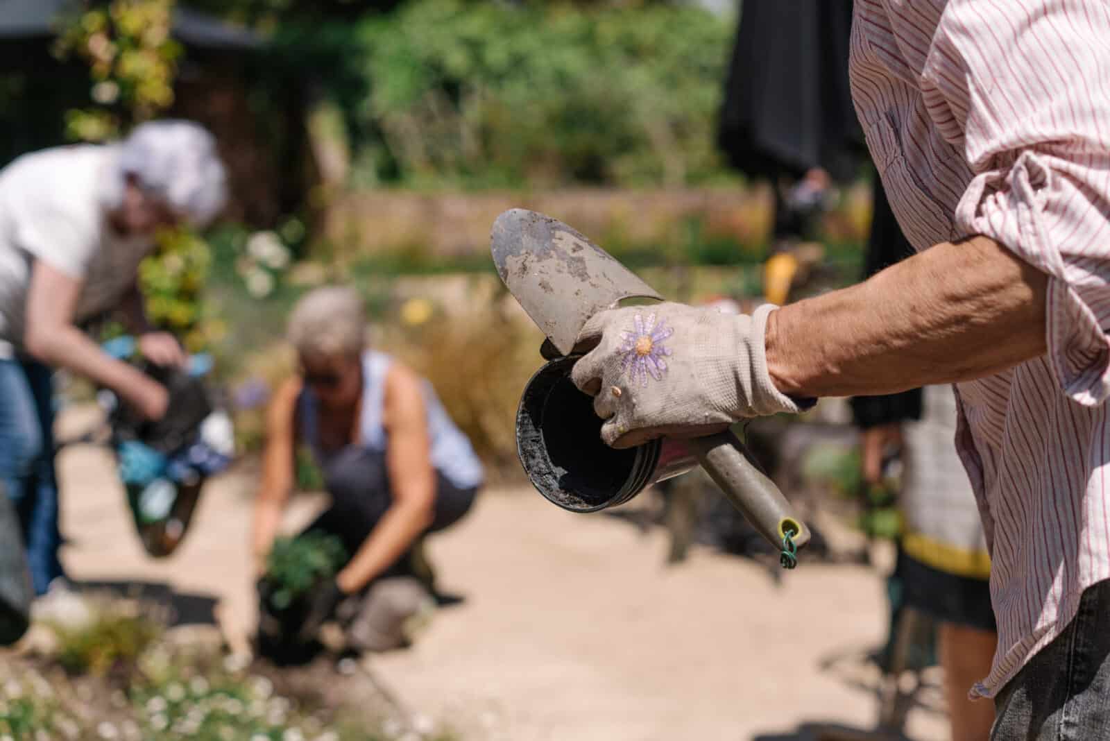 Garden volunteers at Glenfield Hospital, Leicester