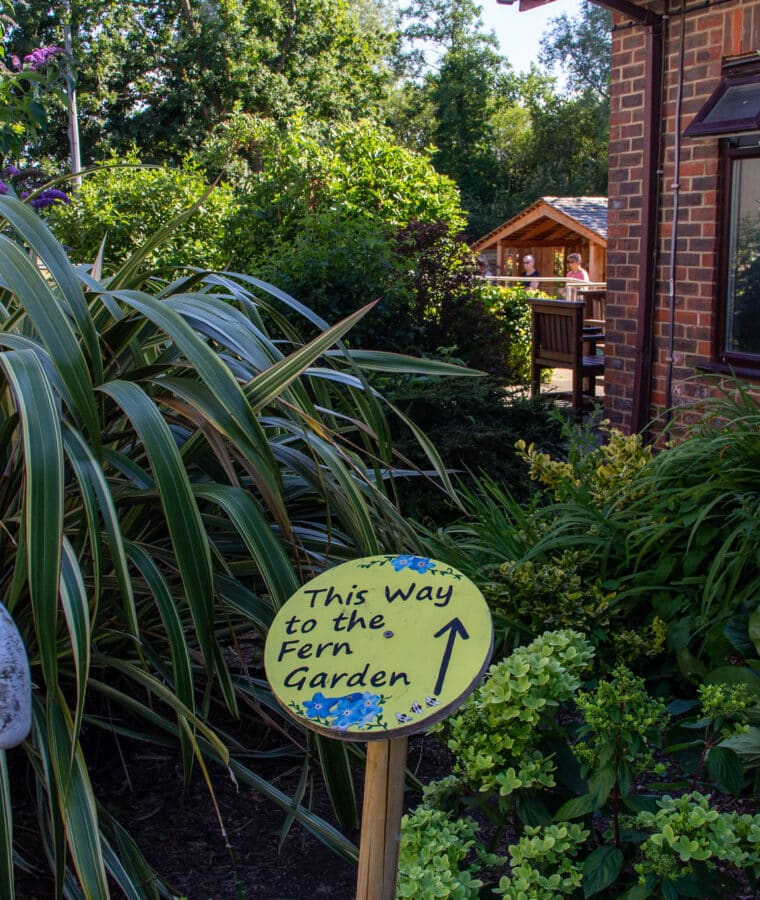 The Fern Garden beside the Chemo Suite, Mount Vernon Cancer Centre