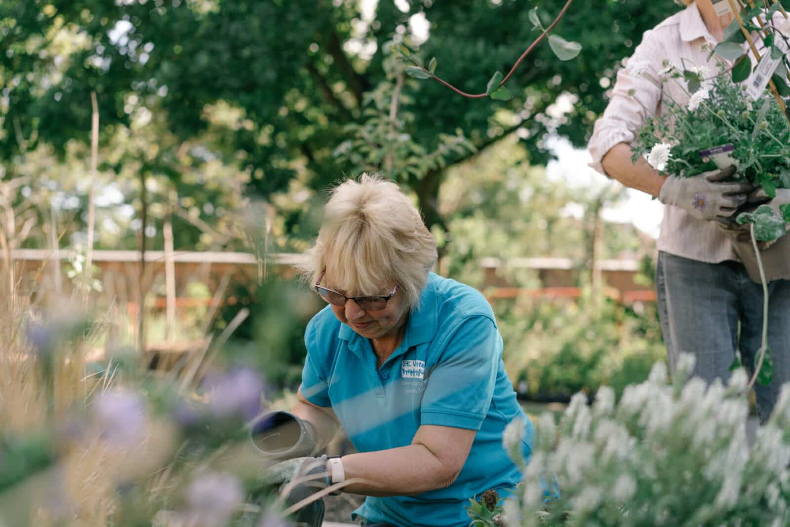 Garden volunteers at Glenfield Hospital, Leicester