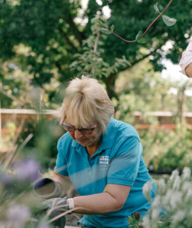 Garden volunteers at Glenfield Hospital, Leicester