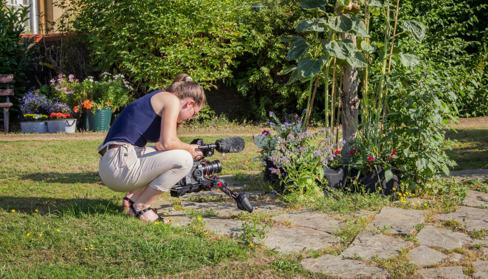 Opal Films documenting the NHS Forest