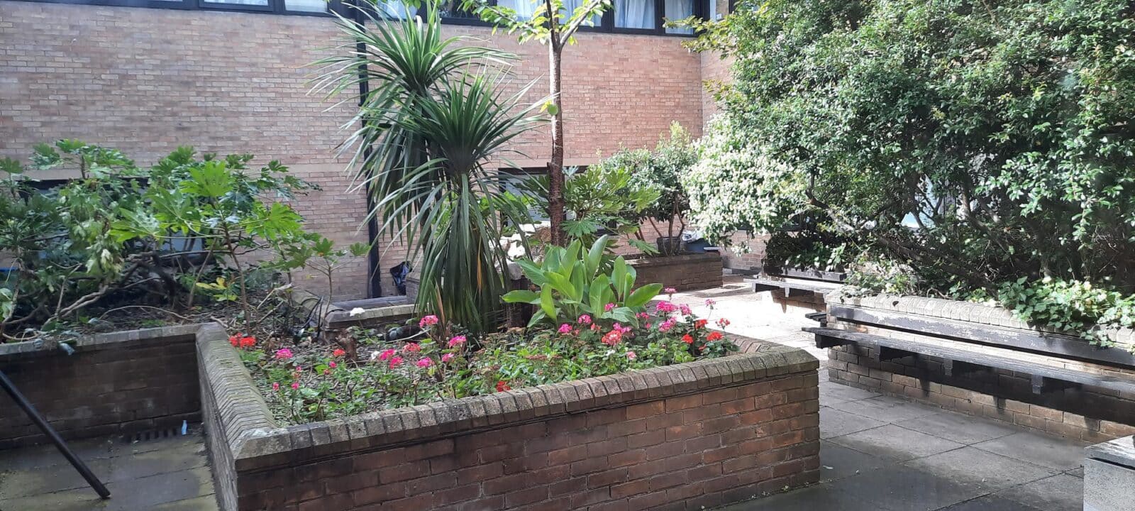 Homerton Hospital's Fish Garden