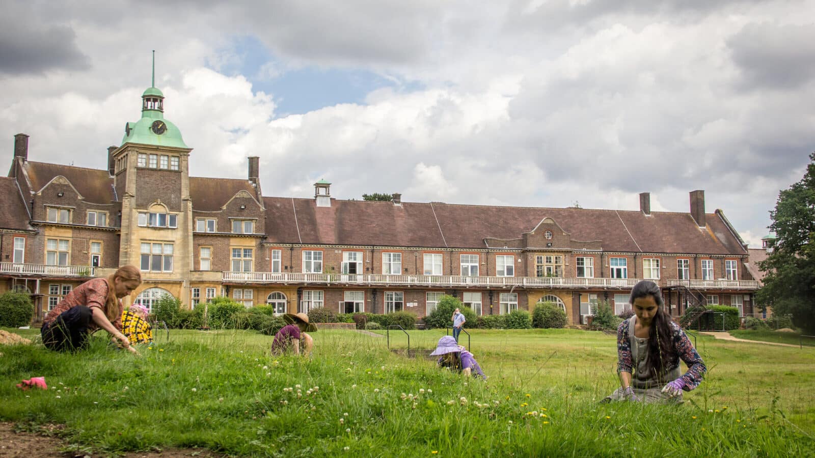 Volunteers plug plant wildflowers at Mount Vernon Cancer Centre, London