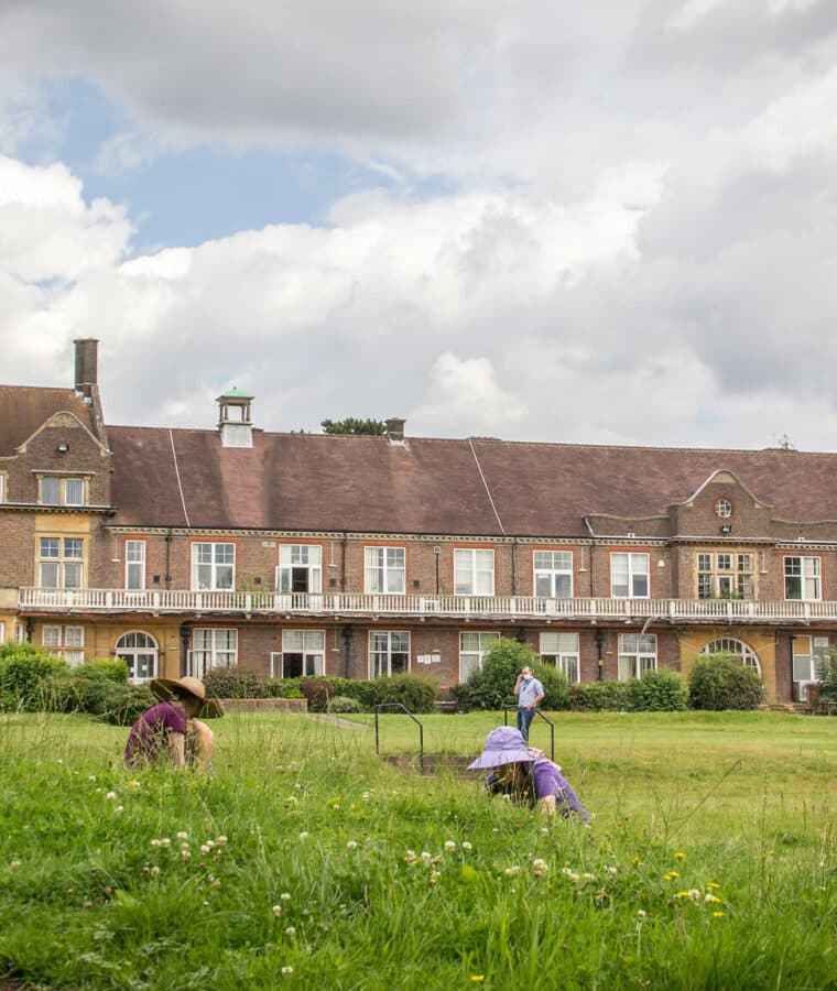 Volunteers plug plant wildflowers at Mount Vernon Cancer Centre, London