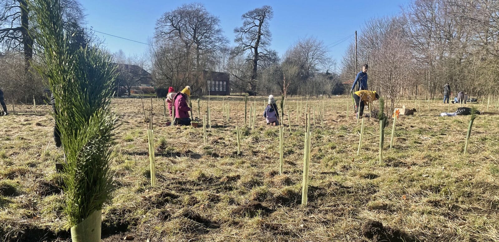 Tree planting event at Fairfields with Yorkshire Ambulance Service