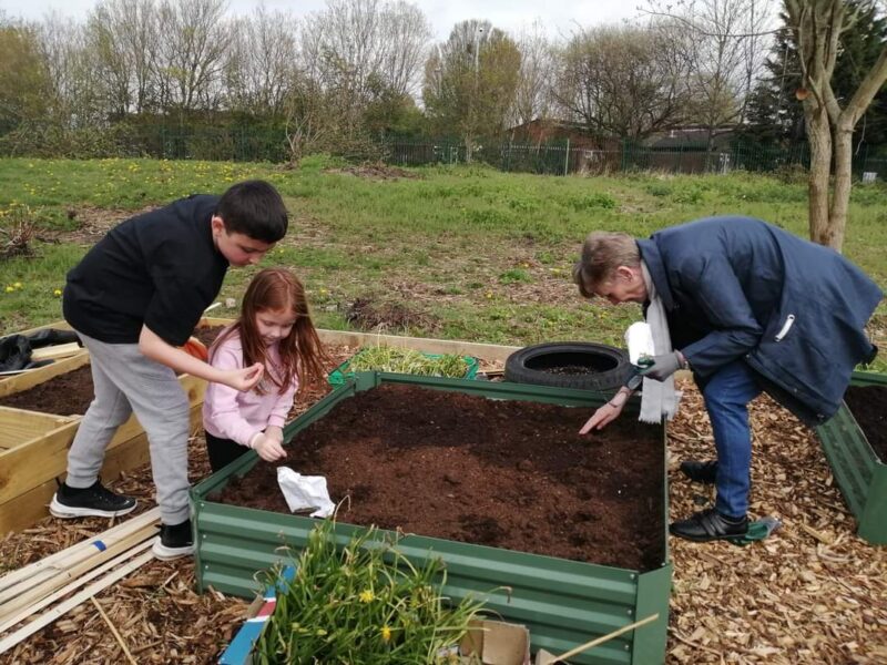 Towerhill Primary Health Centre - Eco Therapy Garden