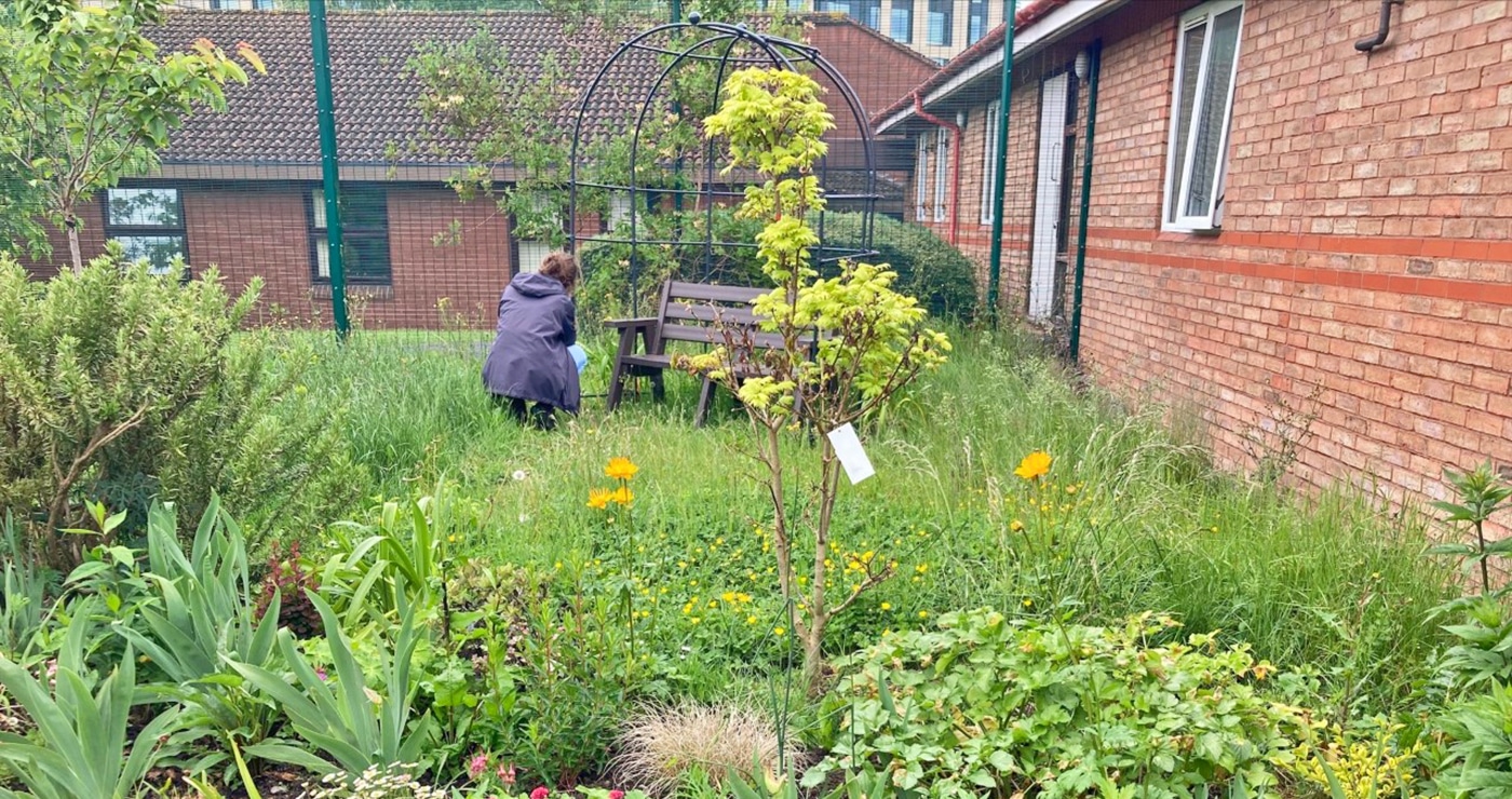 Rangers plant an acer tree and new plantsRangers plant an acer tree and new plants in the Rosa Burden Garden at Southmead Hospital in the Rosa Burdern at Southmead Hospital