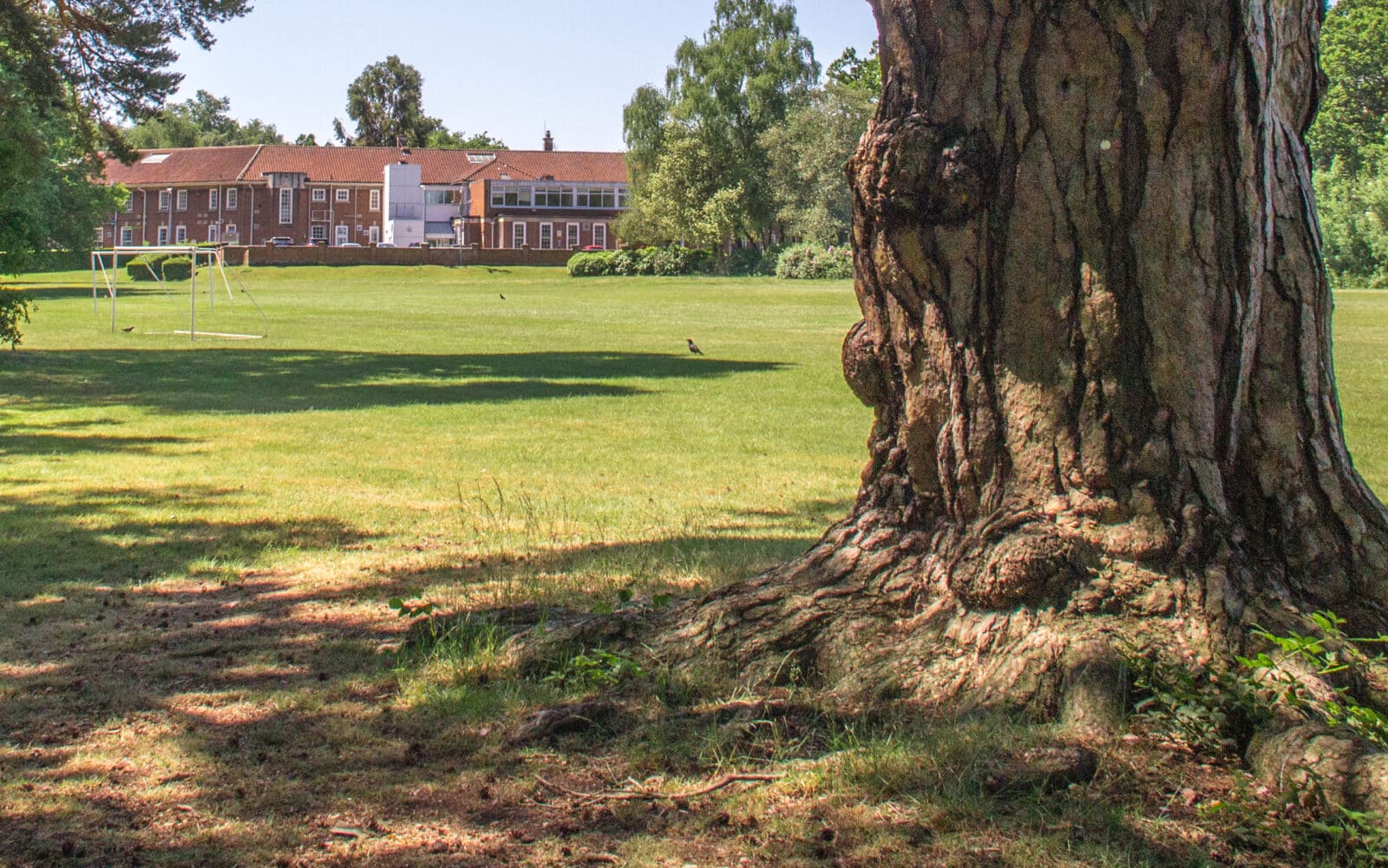 Benefits of trees and woodland on NHS estate. Photo shows trees in the grounds of Bethlem Royal Hospital, Southeast London. Photo: Vicky Brown/CSH. Attribution 4.0