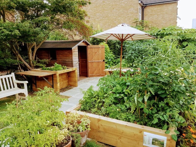 Lambeth Community Care Centre. All rights reserved.
