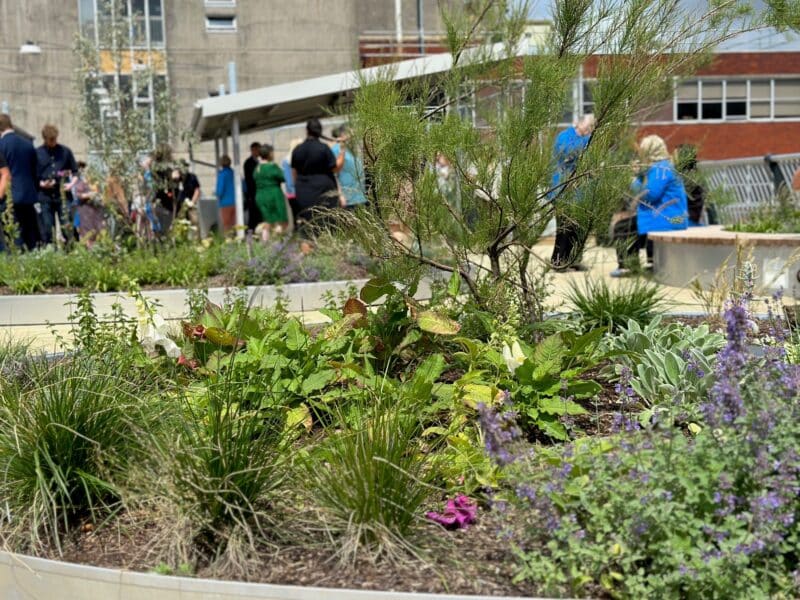 Princess Anne Hospital Staff and Patient Wellbeing Roof Garden. All rights reserved.