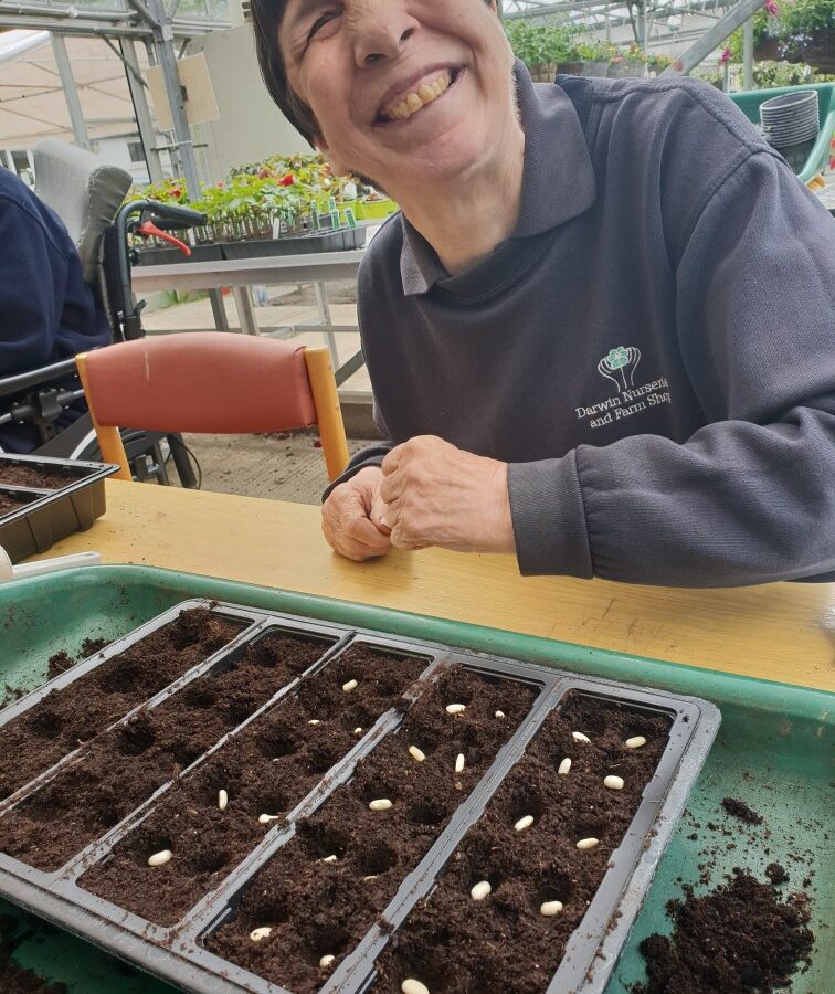 Darwin Nurseries and Farm Shop. All rights reserved.