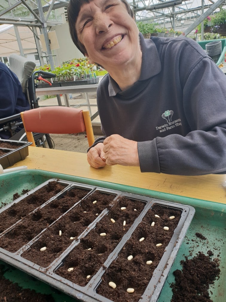 Darwin Nurseries and Farm Shop. All rights reserved.