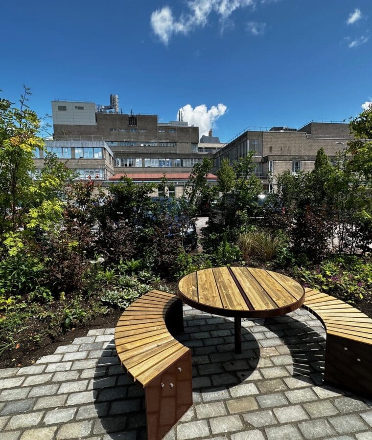 Southampton General Hospital wellbeing garden. All rights reserved.