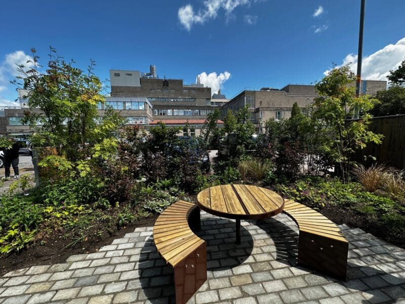 Southampton General Hospital wellbeing garden. All rights reserved.