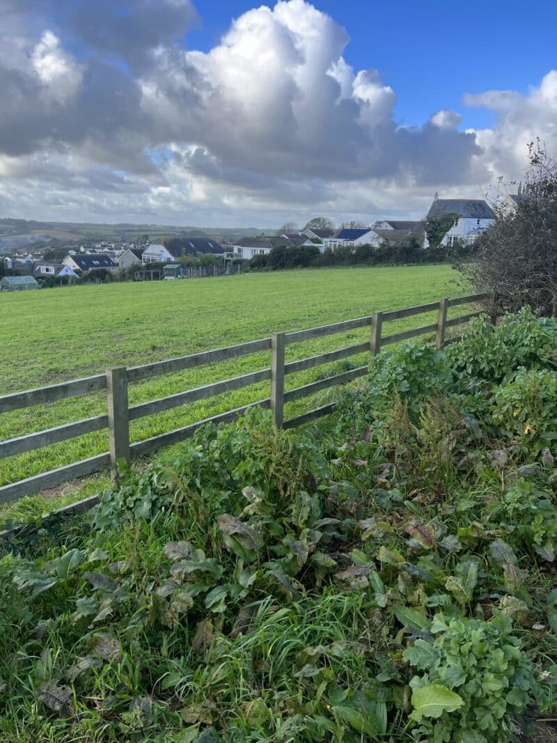 Probus Surgery. All rights reserved.