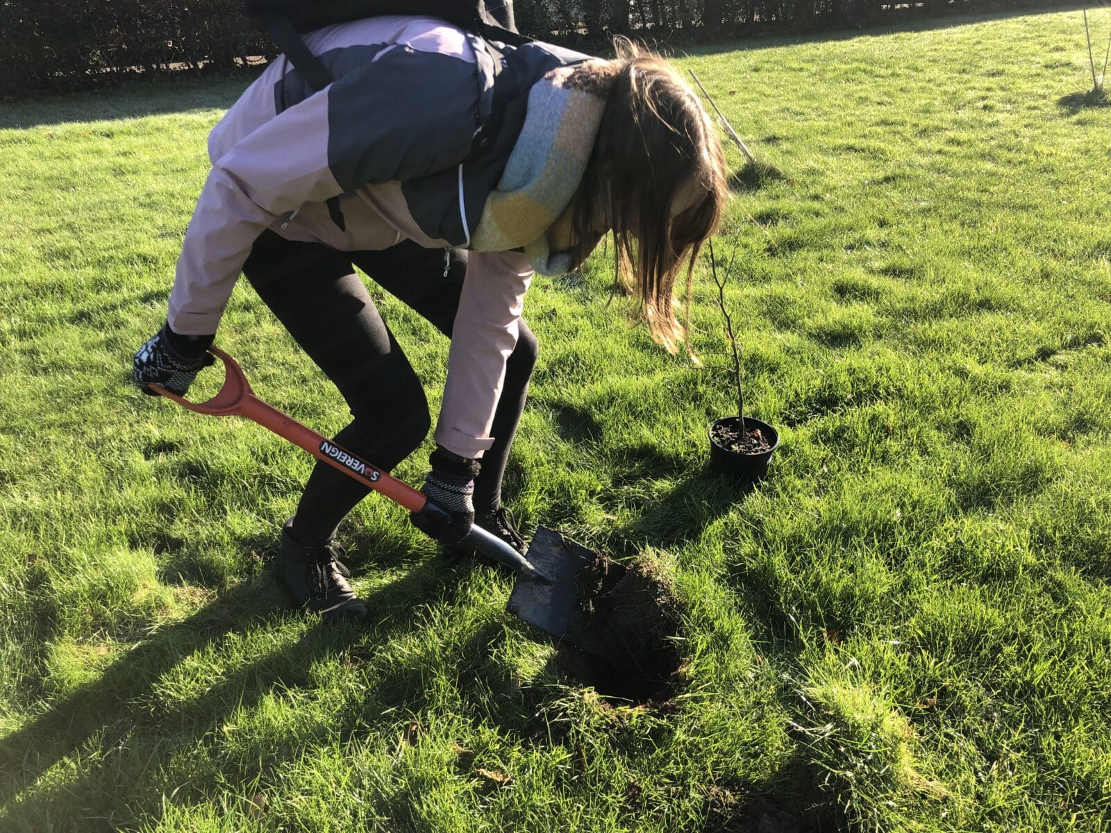 Tree planting at the Becton Centre in Sheffield, 2023. Humans need trees for health. Photo: Una Devlin/CSH. Attribution 4.0 International (CC BY 4.0).
