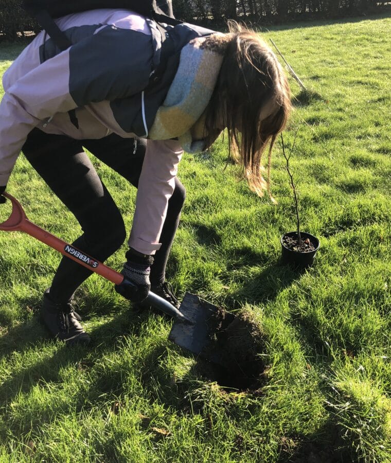 Tree planting at the Becton Centre in Sheffield, 2023. Humans need trees for health. Photo: Una Devlin/CSH. Attribution 4.0 International (CC BY 4.0).