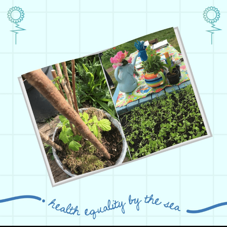 Wellsbourne Community Garden. All rights reserved.