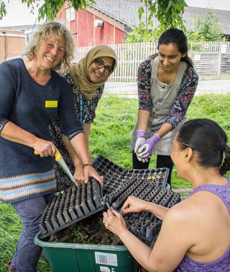 Ranger Karen MacKelvie with volunteer staff and community members plug planting a wildflower meadow at Mount Vernon Cancer Centre