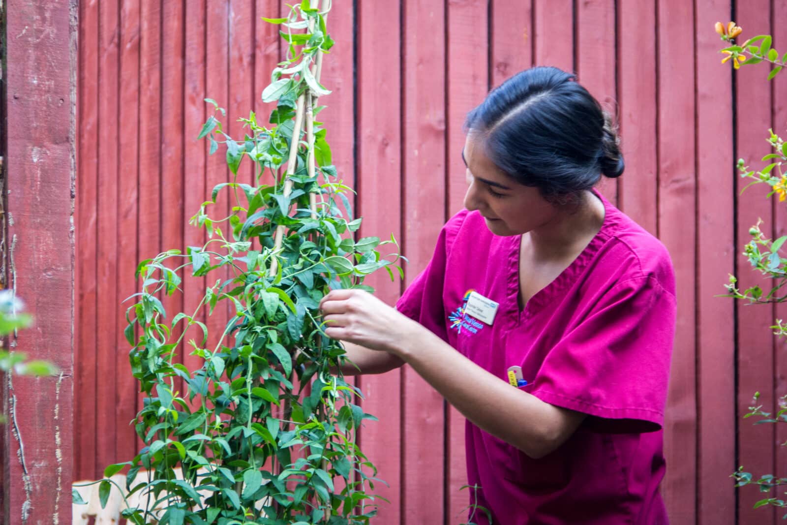 Radiography garden created by staff at Mount Vernon Cancer Centre. Photo: Vicki Brown / Centre for Sustainable Healthcare 2021. Attribution 4.0 International (CC BY 4.0).