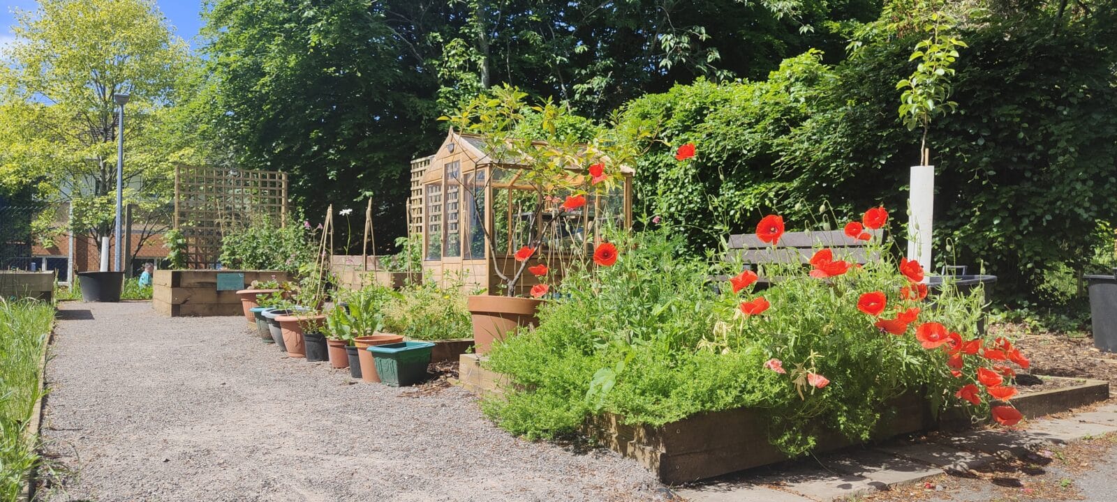 Garden Project at Park Rd Houses. All rights reserved.