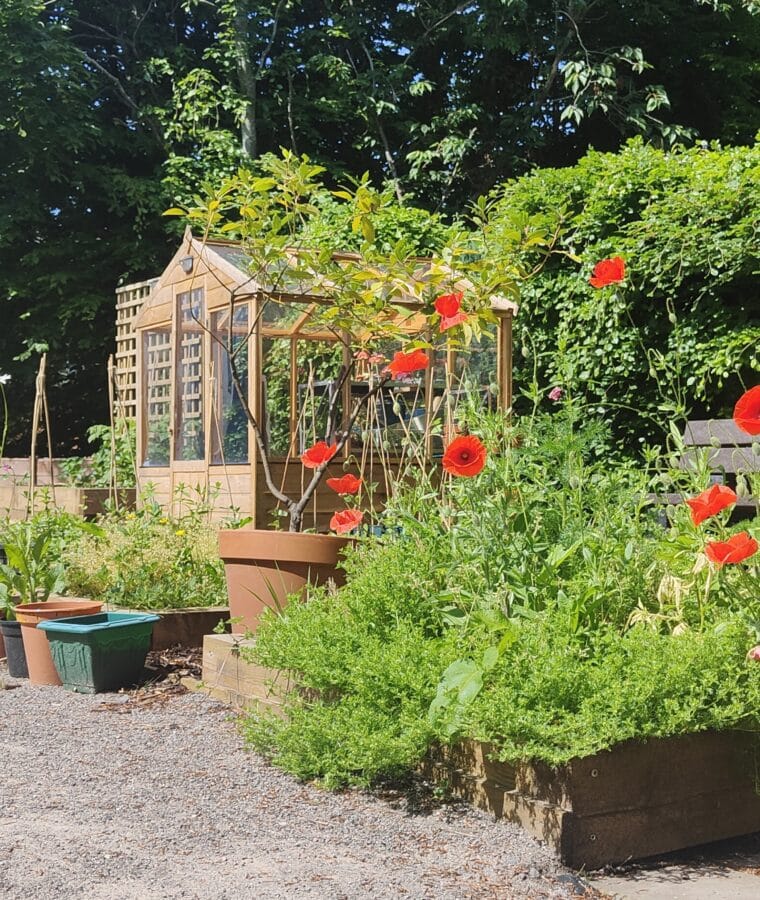 Garden Project at Park Rd Houses. All rights reserved.