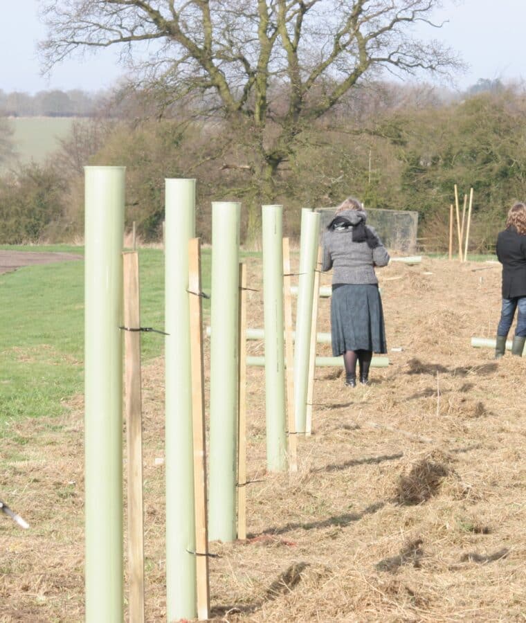 Baldock Surgery tree planting 2009, All rights reserved.
