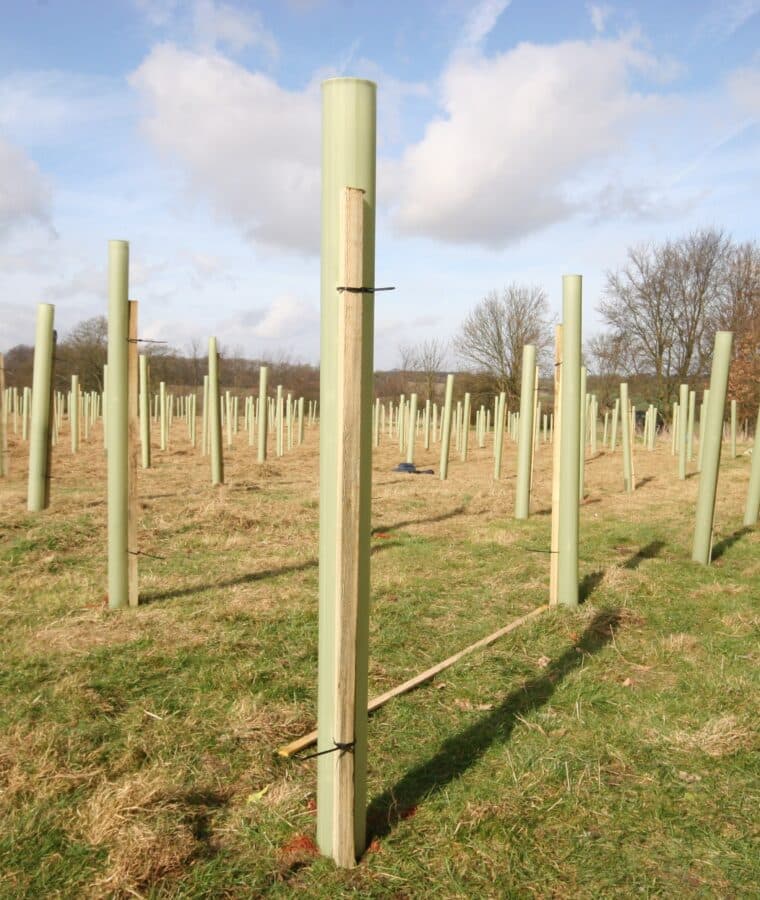Baldock Surgery tree planting 2009. All rights reserved.
