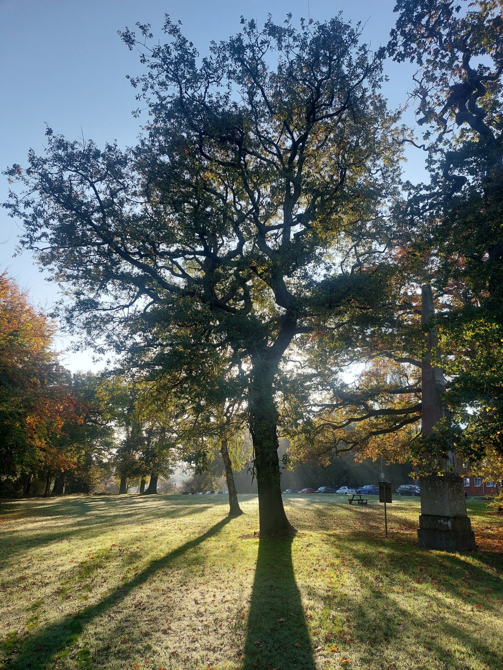 Royal National Orthopaedic Hospital, Stanmore. Photo: Kate Roberts. Attribution 4.0 International (CC BY 4.0).