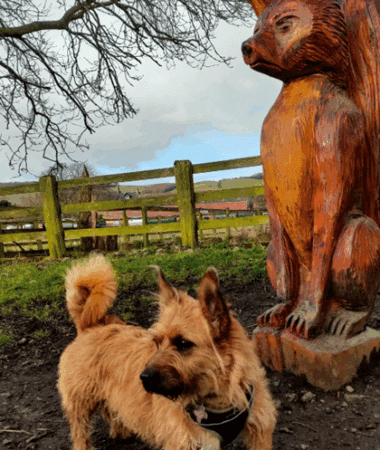 Photo: CSH/Anna Kellner