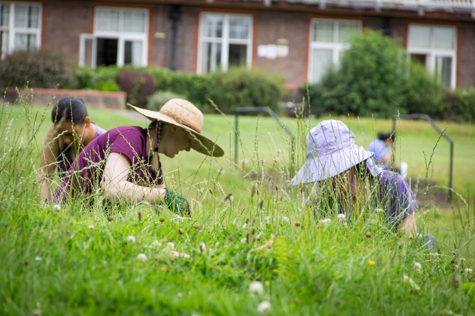 NATO spouses living locally vounteer to plant wildflower plugs on the lawn at opening of the 'Woodland Walkway'. Permissions obtained. Photo: Vicki Brown / CSH August 2021