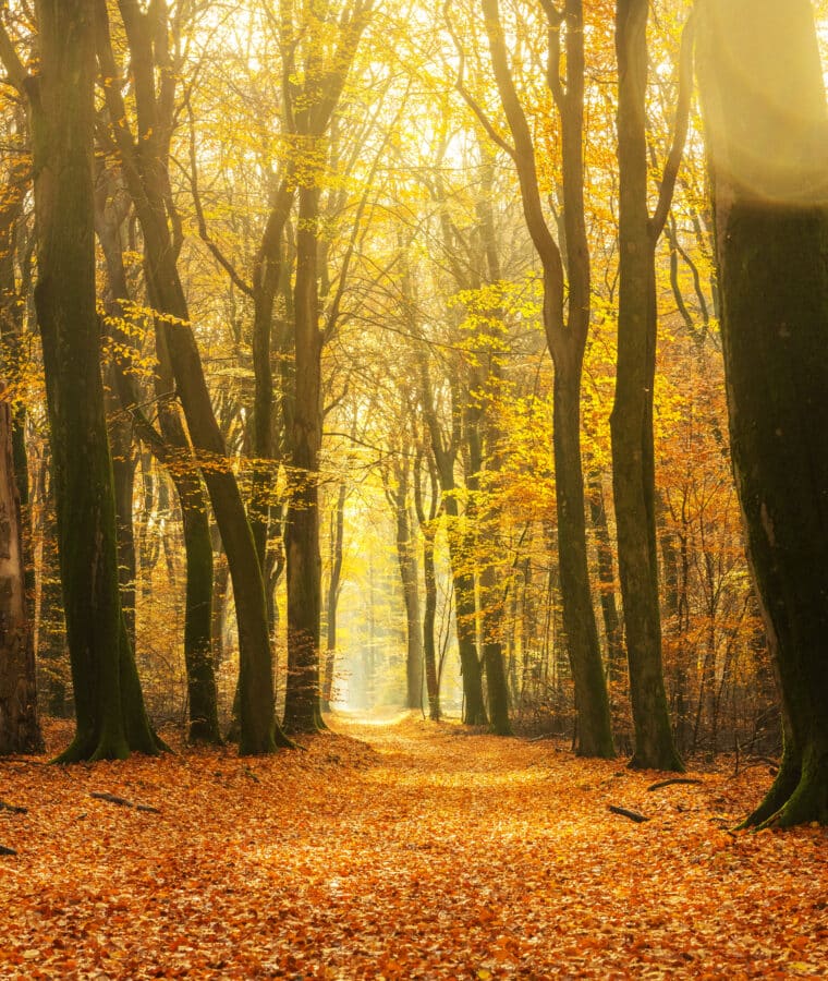 Credit iStock