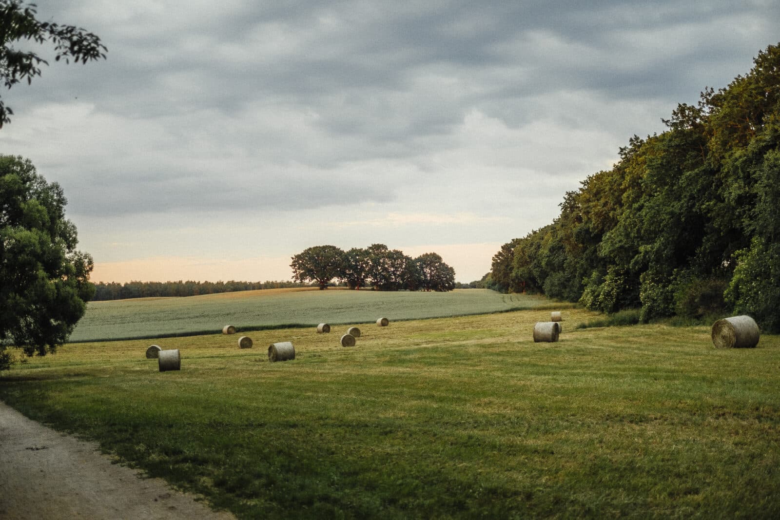 Green fields . Credit iStock