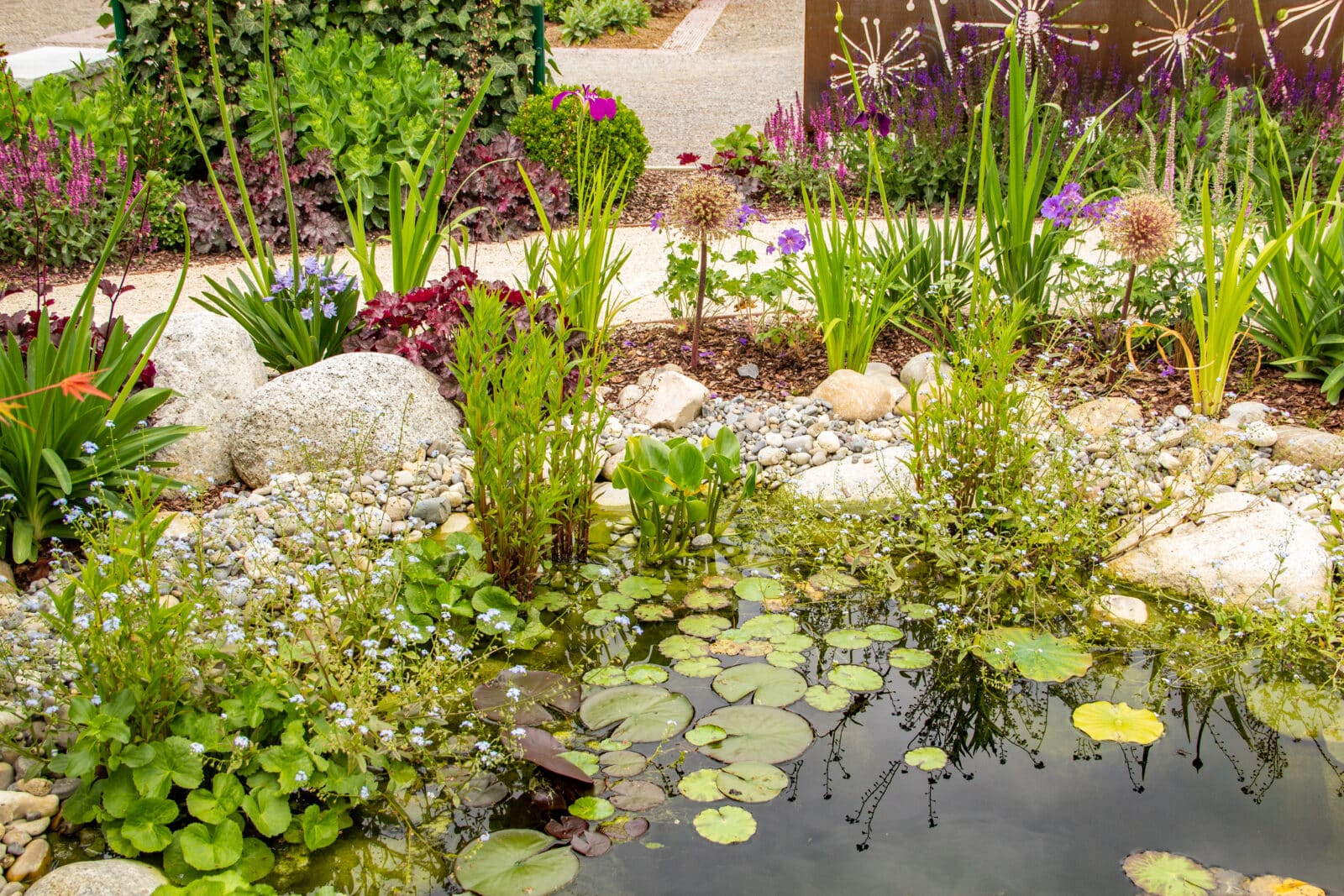 Water garden. Credit iStock