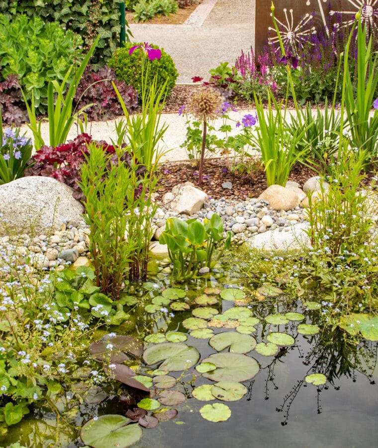 Water garden. Credit iStock