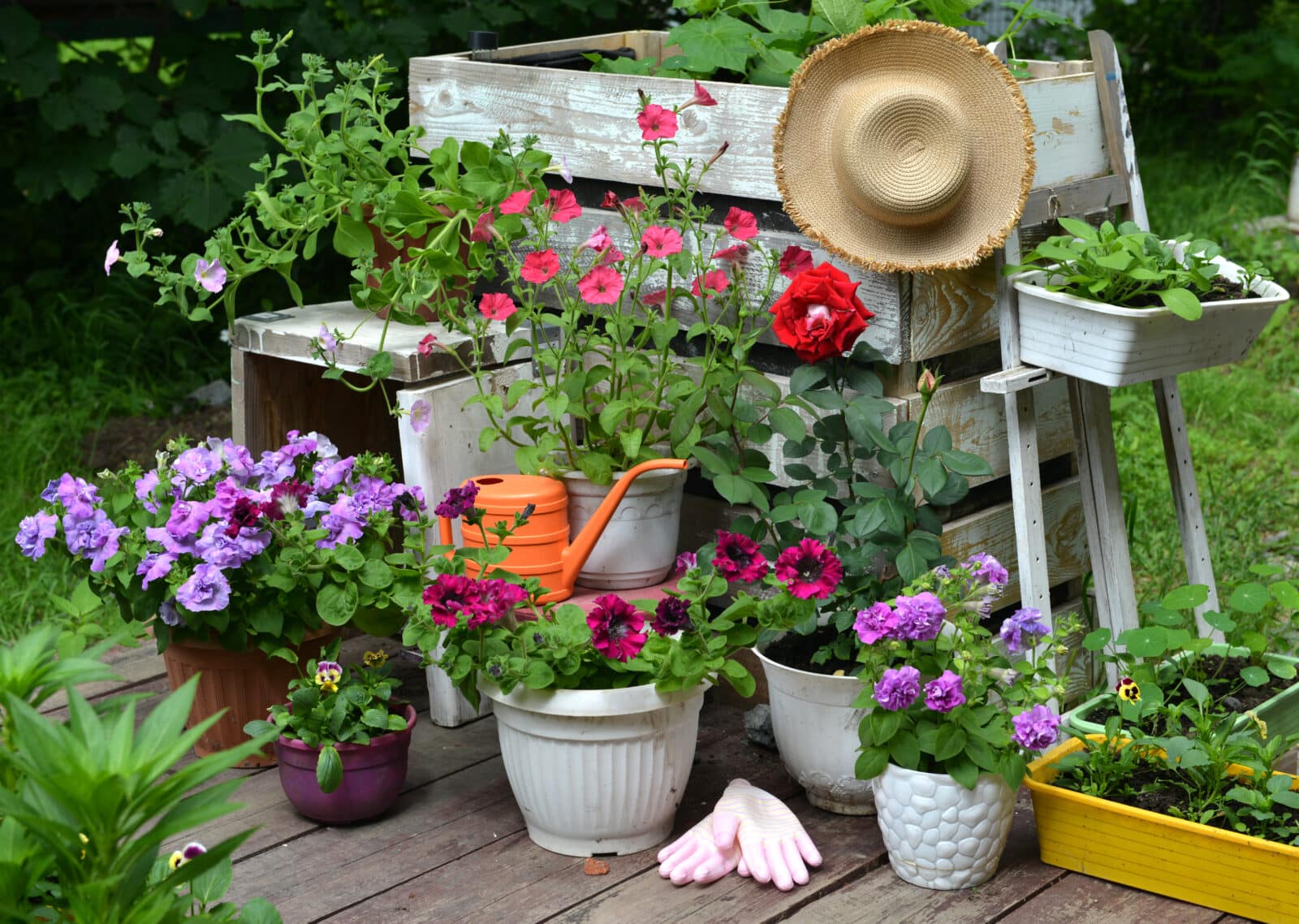Still life with gardening objects and nature. Credit iStock