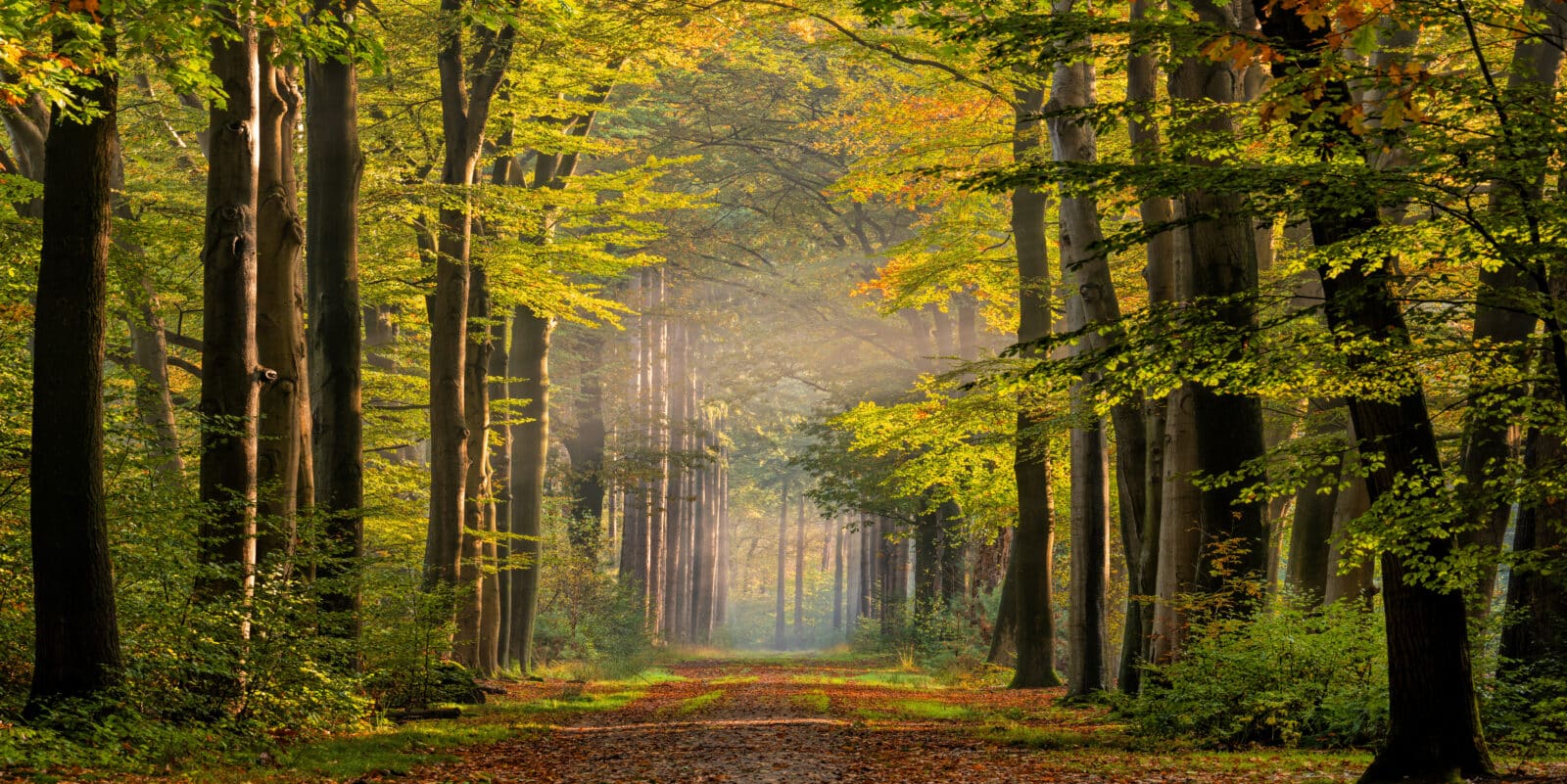 Credit iStock