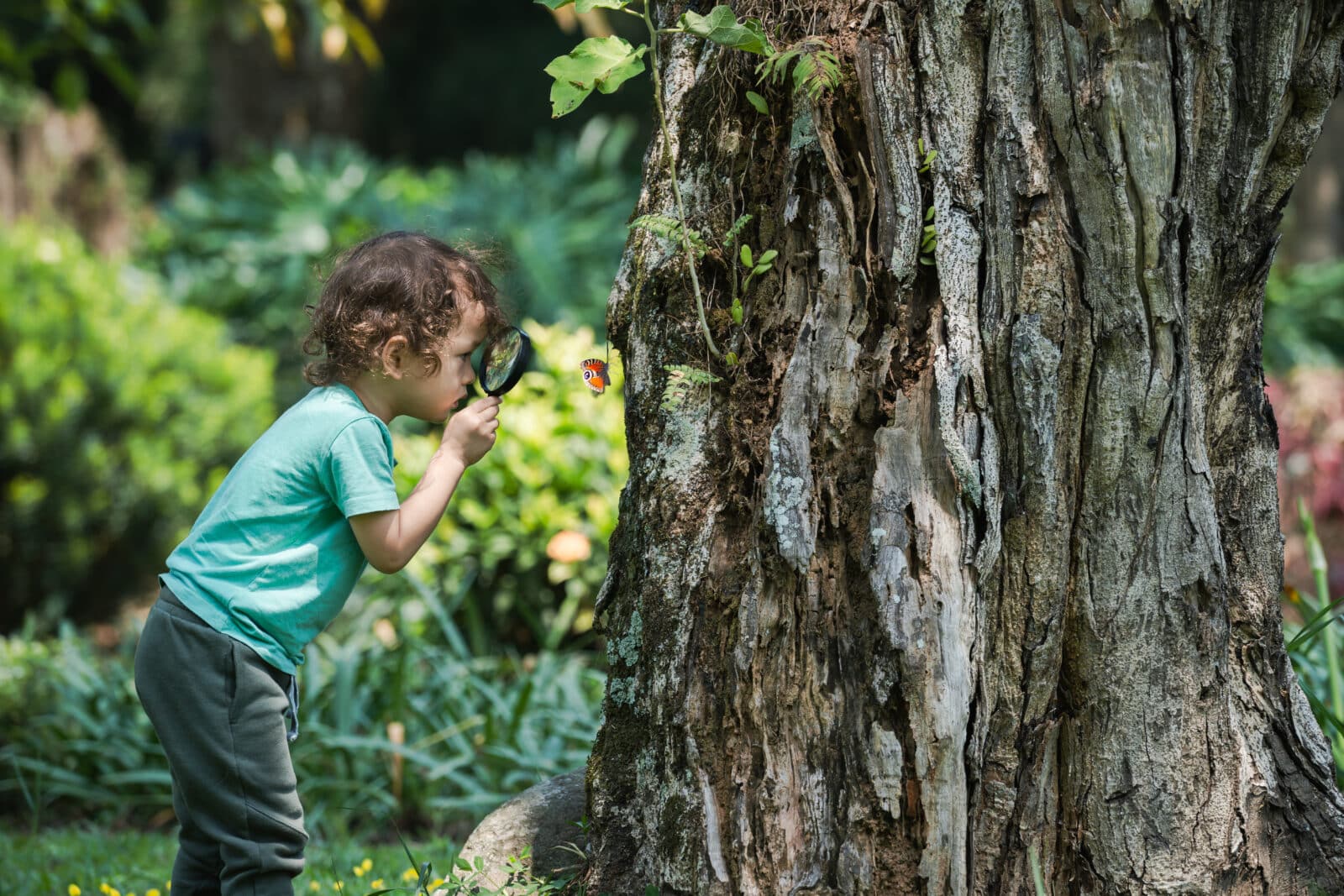 Toddler with a magnifying glass in a forest. Credit iStock