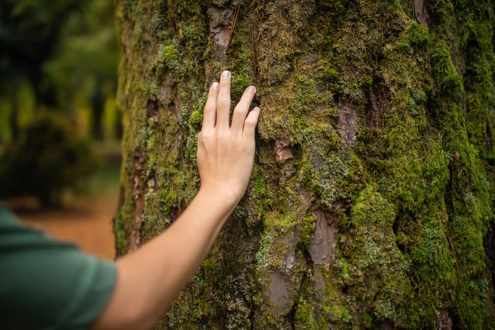 Hand on mossy tree trunk. Credit: ArtMarie (iStock)