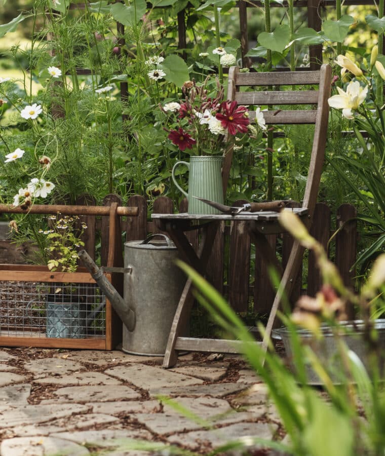Cottage Garden. Credit iStock
