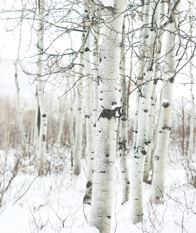 Credit iStock