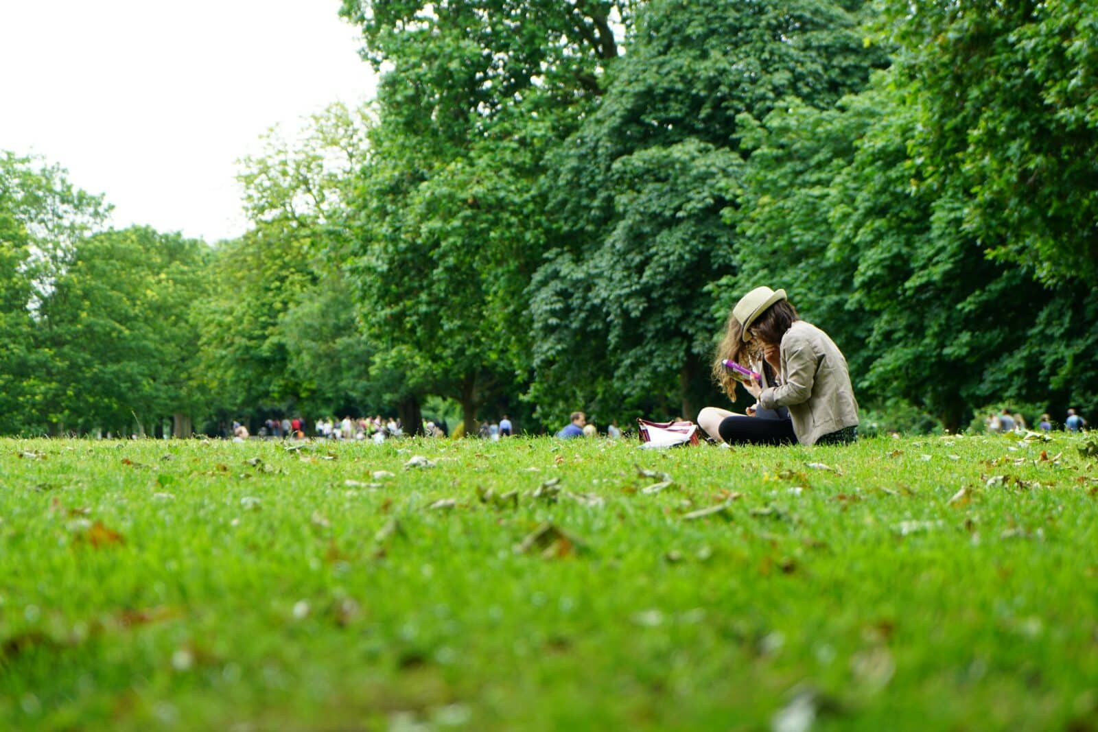 Two people sat on grass with trees and more people behind them. Credit Pixabay