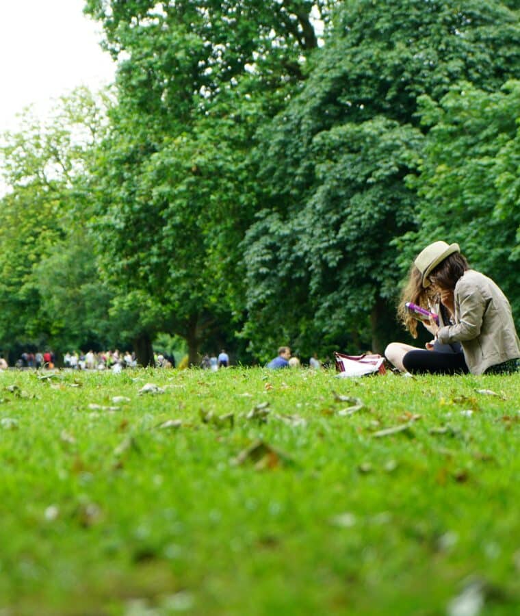 Two people sat on grass with trees and more people behind them. Credit Pixabay