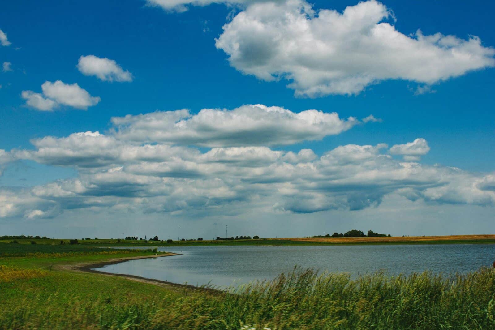 Estuary with grassy bank and blue sky with clouds. Photo - Pexels