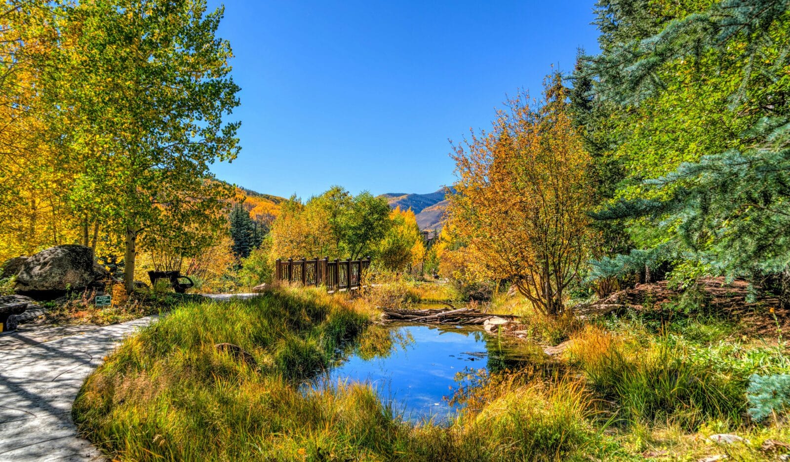 Pond surrounded by trees in autumn. Credit Pixabay